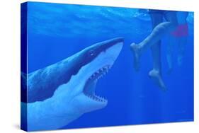 Shark Attack-Chris Butler-Stretched Canvas