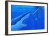 Shark Attack-Chris Butler-Framed Premium Photographic Print