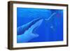 Shark Attack-Chris Butler-Framed Photographic Print