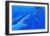 Shark Attack-Chris Butler-Framed Photographic Print