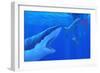 Shark Attack-Chris Butler-Framed Photographic Print