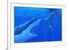 Shark Attack-Chris Butler-Framed Photographic Print