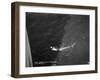 Shark Caught by the Cruise Ship 'Atlantis, Off Bathurst, Gambia, 20th Century-null-Framed Giclee Print