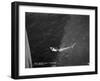 Shark Caught by the Cruise Ship 'Atlantis, Off Bathurst, Gambia, 20th Century-null-Framed Giclee Print