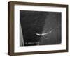Shark Caught by the Cruise Ship 'Atlantis, Off Bathurst, Gambia, 20th Century-null-Framed Premium Giclee Print