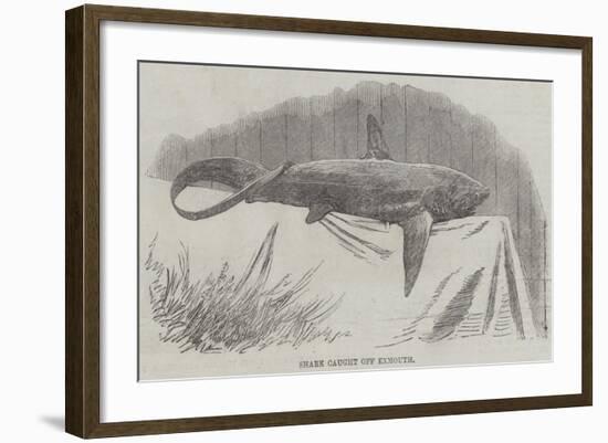 Shark Caught Off Exmouth-null-Framed Giclee Print