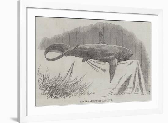 Shark Caught Off Exmouth-null-Framed Giclee Print