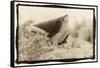 Shark Entryway,Australia-Theo Westenberger-Framed Stretched Canvas