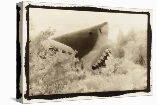 Shark Entryway,Australia-Theo Westenberger-Stretched Canvas