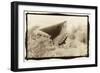 Shark Entryway,Australia-Theo Westenberger-Framed Art Print