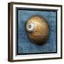 Shark Eye 2-John W Golden-Framed Giclee Print