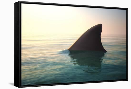 Shark Fin above Ocean Water-null-Framed Stretched Canvas
