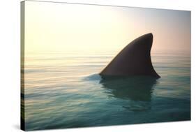 Shark Fin above Ocean Water-null-Stretched Canvas