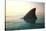 Shark Fin above Ocean Water-null-Stretched Canvas