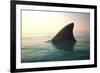 Shark Fin above Ocean Water-null-Framed Photographic Print