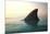 Shark Fin above Ocean Water-null-Mounted Photographic Print