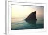 Shark Fin above Ocean Water-null-Framed Photographic Print