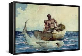 Shark Fishing, 1885-Winslow Homer-Framed Stretched Canvas