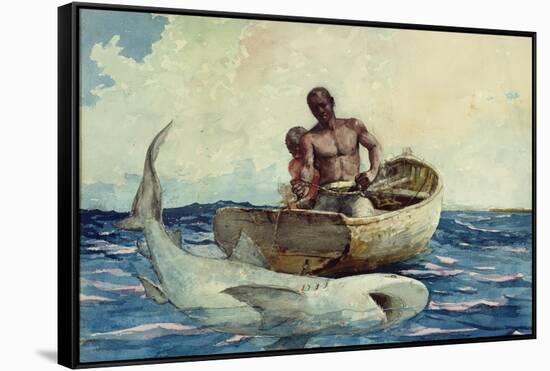 Shark Fishing, 1885-Winslow Homer-Framed Stretched Canvas