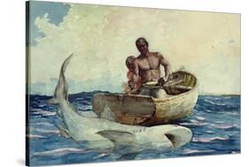 Shark Fishing, 1885-Winslow Homer-Stretched Canvas
