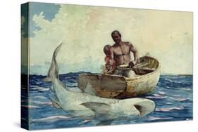 Shark Fishing, 1885-Winslow Homer-Stretched Canvas