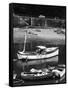 Shark Fishing Boat-null-Framed Stretched Canvas