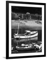 Shark Fishing Boat-null-Framed Photographic Print