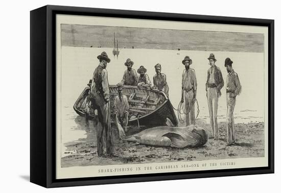 Shark-Fishing in the Caribbean Sea, One of the Victims-null-Framed Stretched Canvas