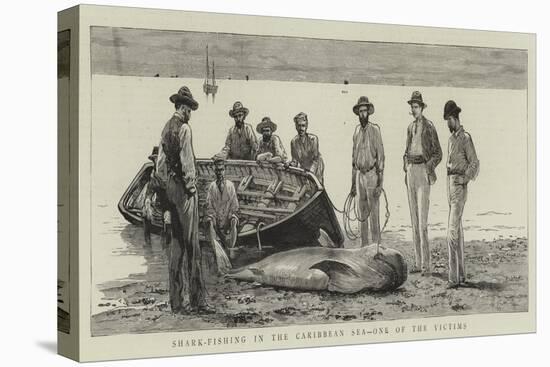 Shark-Fishing in the Caribbean Sea, One of the Victims-null-Stretched Canvas