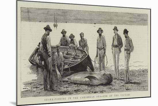 Shark-Fishing in the Caribbean Sea, One of the Victims-null-Mounted Giclee Print