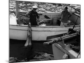 Shark Fishing-null-Mounted Photographic Print