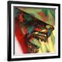 Shark Head Study 1-Shark Toof-Framed Art Print