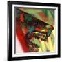 Shark Head Study 1-Shark Toof-Framed Art Print