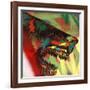 Shark Head Study 1-Shark Toof-Framed Art Print