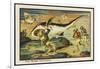 Shark-Hunt-Jean Marc Cote-Framed Art Print