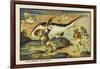 Shark-Hunt-Jean Marc Cote-Framed Art Print