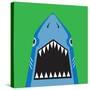 Shark Illustration, T-Shirt Graphics, Typography, Vectors-Syquallo-Stretched Canvas
