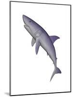 Shark Illustration, White Background-null-Mounted Art Print