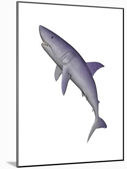 Shark Illustration, White Background-null-Mounted Art Print