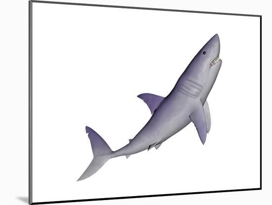 Shark Illustration, White Background-null-Mounted Art Print