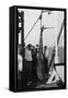 Shark on Board the Cruise Ship 'Atlantis, Caught Off Bathurst, Gambia, 20th Century-null-Framed Stretched Canvas