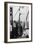 Shark on Board the Cruise Ship 'Atlantis, Caught Off Bathurst, Gambia, 20th Century-null-Framed Giclee Print