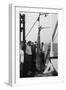 Shark on Board the Cruise Ship 'Atlantis, Caught Off Bathurst, Gambia, 20th Century-null-Framed Giclee Print