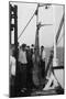 Shark on Board the Cruise Ship 'Atlantis, Caught Off Bathurst, Gambia, 20th Century-null-Mounted Giclee Print