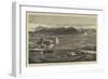 Shark Shooting at Port Louis, Mauritius-Joseph Nash-Framed Giclee Print