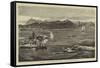 Shark Shooting at Port Louis, Mauritius-Joseph Nash-Framed Stretched Canvas