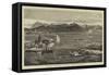 Shark Shooting at Port Louis, Mauritius-Joseph Nash-Framed Stretched Canvas