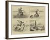 Shark-Shooting Extraordinary-William Ralston-Framed Giclee Print