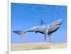 Shark Swimming Underwater with Reflections of the Sun-null-Framed Art Print