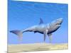 Shark Swimming Underwater with Reflections of the Sun-null-Mounted Art Print